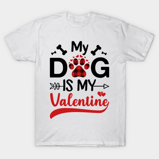 My Dog Is My Valentine Gift for dog lover T-Shirt by DragonTees